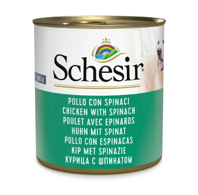 Вологий корм Schesir Chicken With Spinach, консерви для собак, курка зі шпинатом в желе, 285 г