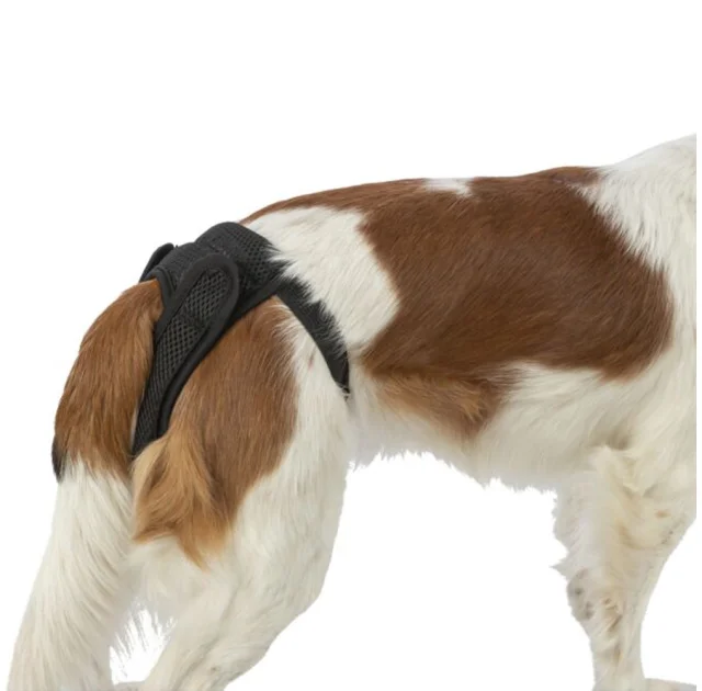 Защитные трусы Trixie Protective Pants Comfort для собак, текстильная сетка, размер XS, обхват талии 22-31 см, чёрные