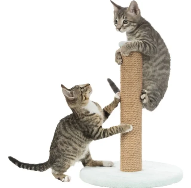 Когтеточка Trixie Junior Scratching Post для котят, 40×38×50 см, мятная