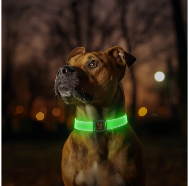 Нашийник з підсвічуванням Waudog LED для собак, магнітна застібка, 25 мм/60 см