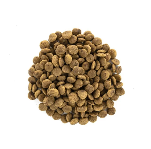 Сухой корм Brit Care Cat Power and Vitality для кошек, больших пород, 7 кг