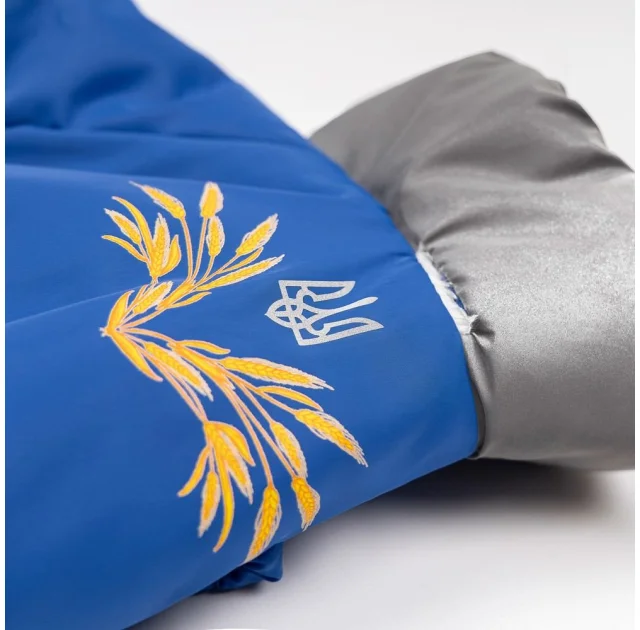 Костюм Pet Fashion Zhan для собак, размер XS2, голубой