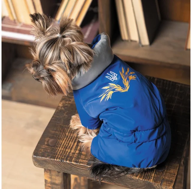 Костюм Pet Fashion Zhan для собак, размер XS2, голубой