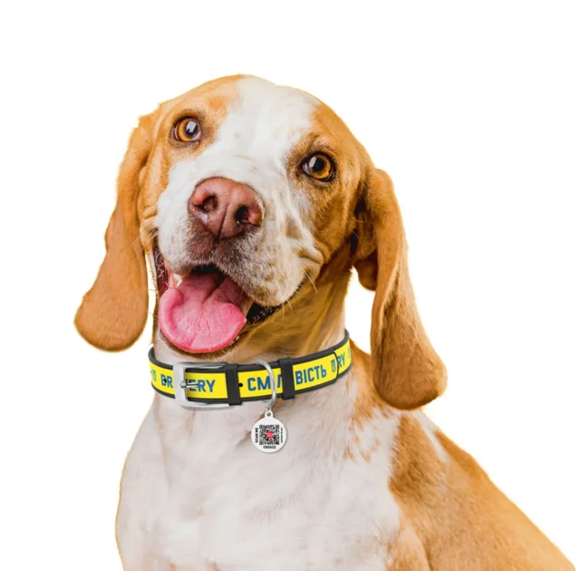 Нашийник шкіряний Waudog Design з QR паспортом для собак, малюнок "Сміливість" XS,15 мм/26-35 см, чорний