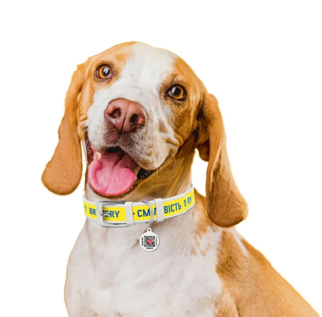 Нашийник шкіряний Waudog Design з QR паспортом для собак, малюнок "Сміливість", M,20мм/29-38 см, білий