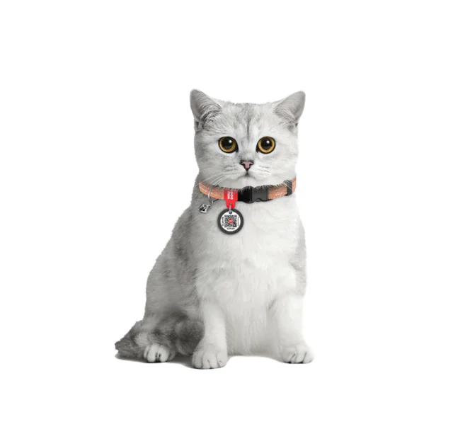 Ошейник Waudog Re-cotton с QR паспортом для кошек, светоотражающий, пластиковый фастекс, XS, Ш: 10 мм, Д: 20-30 см, оранжевый