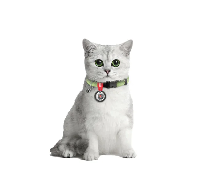 Ошейник Waudog Re-cotton с QR паспортом для кошек, светоотражающий, пластиковый фастекс, XS, Ш: 10 мм, Д: 20-30 см, салатовый
