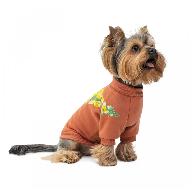 Толстовка Pet Fashion Miley, для собак, размер XS2