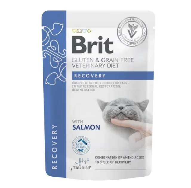 Влажный корм Brit GF VetDiet Recovery для кошек, с лососем, 85 г