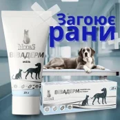 Мазь MODES Вівадерм, 25 г