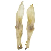 Лакомства для собак, кроличье ухо сушёное, белое, 20 г, 20 см