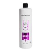 Шампунь Iv San Bernard Derm Shampoo Y6Y для пошкодженої шкіри, 1 л