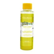 Шампунь Iv San Bernard Ginger and Elderberry, дезінфікуючий, з бузиною та імбирем, 100 мл
