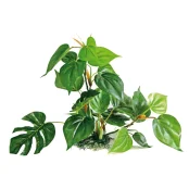 Растение аквариумное Amtra Replica anubias искусственное, для аквариумов, 30 см