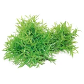 Растение аквариумное Amtra Replica bamboo искусственное, для аквариумов, 30 × 16 см