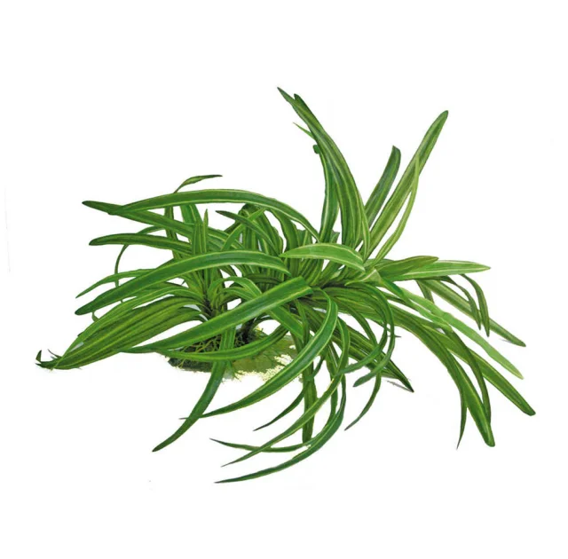 Рослина акваріумна Amtra Replica dracena штучна, для акваріумів, 25 см