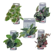 Растения аквариумные Amtra Wonder series B искусственные, для аквариумов, ассортимент 5 видов, 15–18 см