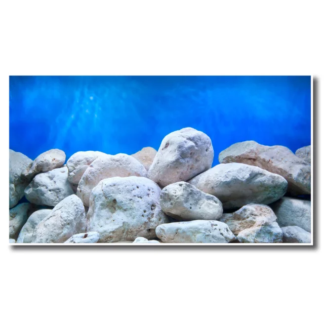 Фон аквариумный двусторонний Amtra Adventure, для аквариумов, рулон, 60 см × 15 м