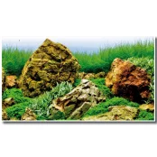 Фон аквариумный двусторонний Amtra Vision, для аквариумов, рулон, 60 см × 15 м