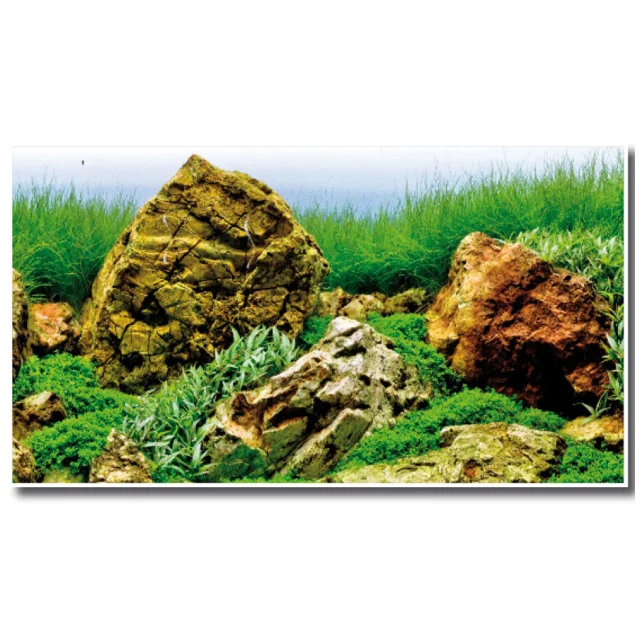 Фон аквариумный двусторонний Amtra Vision, для аквариумов, рулон, 60 см × 15 м