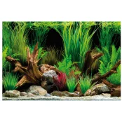 Фон аквариумный двусторонний Amtra Wonder, для аквариумов, рулон, 60 см × 15 м