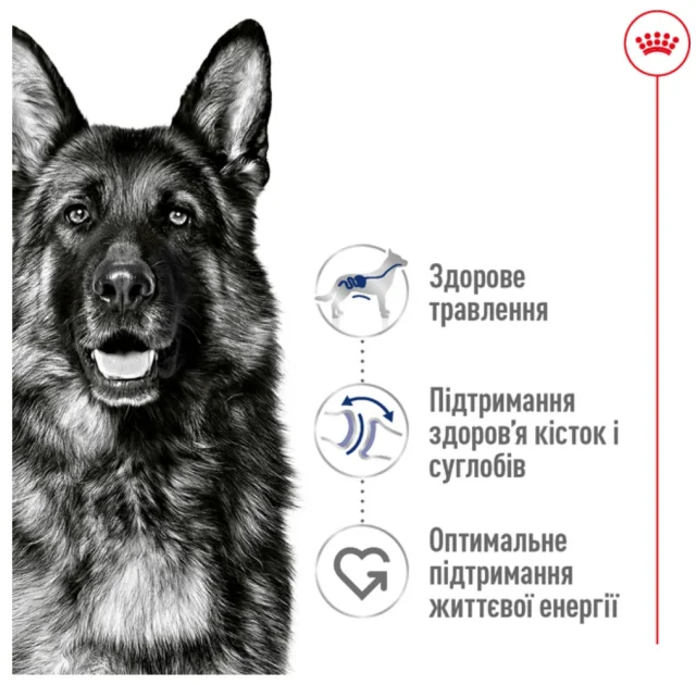 Сухий корм Royal Canin Maxi Adult для собак великих порід, 4 кг