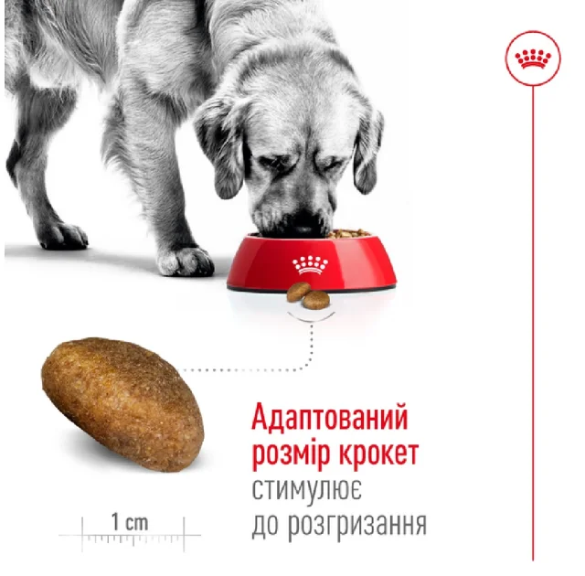 Сухий корм Royal Canin Maxi Adult для собак великих порід, 4 кг