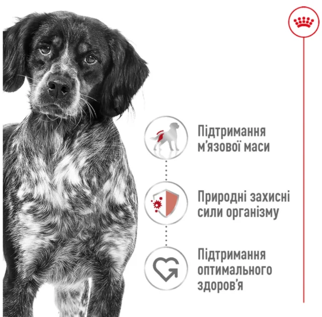 Сухий корм Royal Canin Medium Adult для собак середніх порід, 15 кг