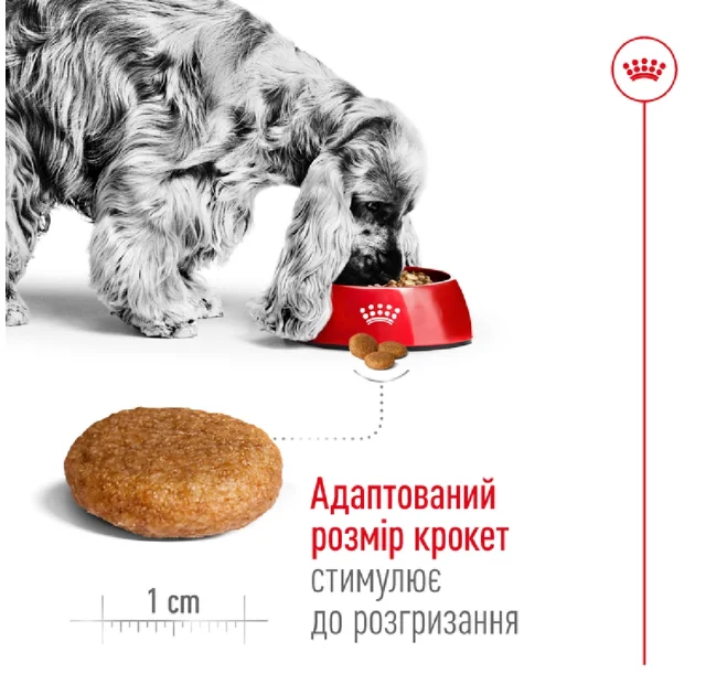 Сухий корм Royal Canin Medium Adult для собак середніх порід, 15 кг