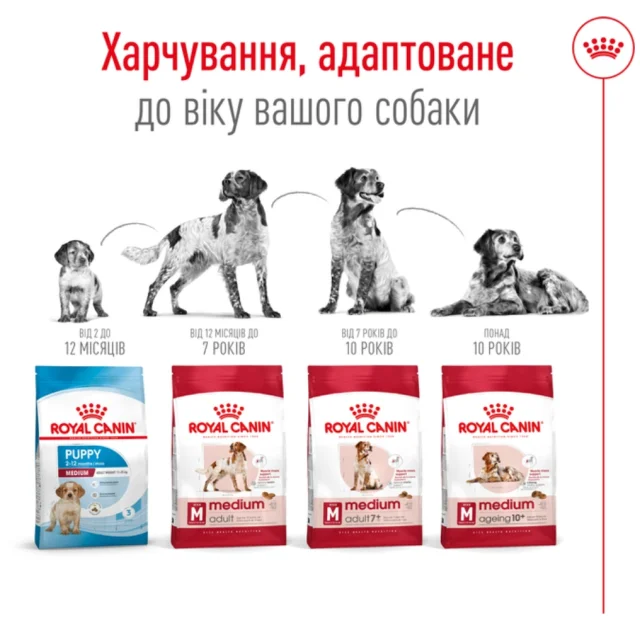 Сухий корм Royal Canin Medium Adult для собак середніх порід, 15 кг