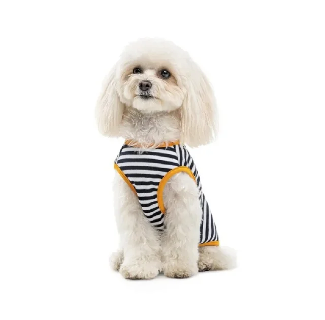 Борцівка Pet Fashion Kale для собак, трикотаж, розмір XS2, смугаста
