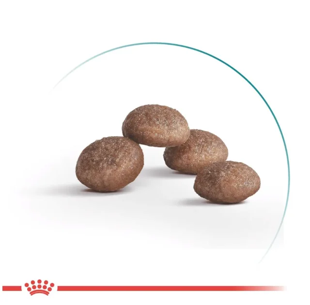 Сухий корм Royal Canin Ageing 11+ для котів, зрілих, 2 кг