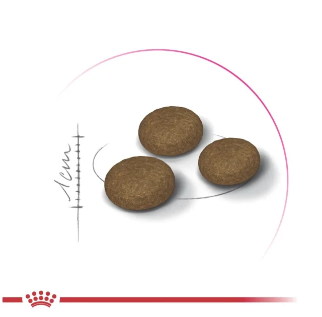 Сухий корм Royal Canin Exigent Fussy для котів з вибагливим апетитом, 10 кг