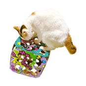 Інтерактивна іграшка CattyMan Play Cube Box ігровий куб, для котів
