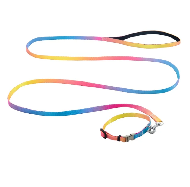 Комплект ошейник с поводком AnimAll для маленьких собак и всех пород кошек, пантон 1, 1/25-30/180 см