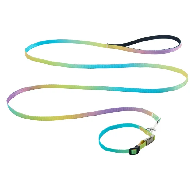 Комплект ошейник с поводком AnimAll для маленьких собак и всех пород кошек, пантон 2, 1/25-30/180 см