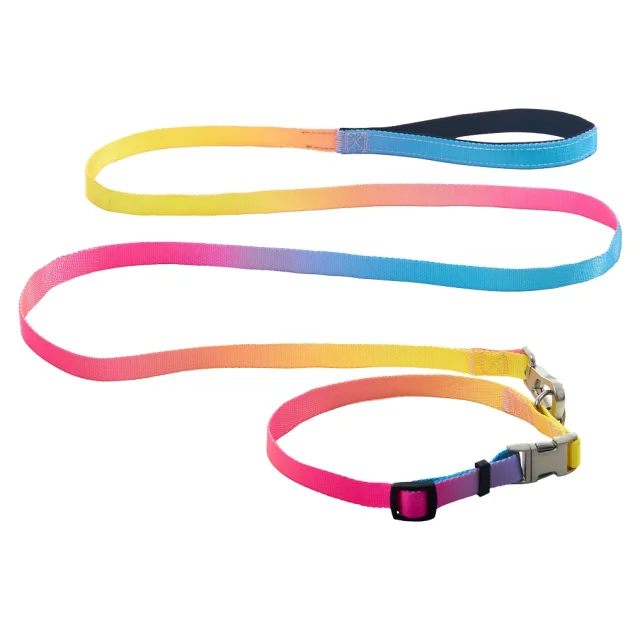 Комплект ошейник с поводком AnimAll для маленьких собак и всех пород кошек, пантон 1, 15/30-40/180 см