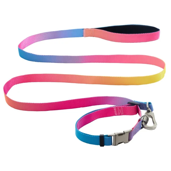 Комплект нашийник з повідцем AnimAll для великих порід собак