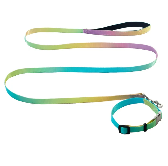 Комплект ошейник с поводком AnimAll для маленьких собак и всех пород кошек, пантон 2, 15/30-40/180 см