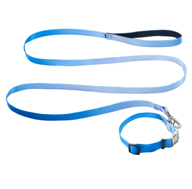 Комплект ошейник с поводком AnimAll для средних пород собак, пантон 3,  2/33-50/180 см