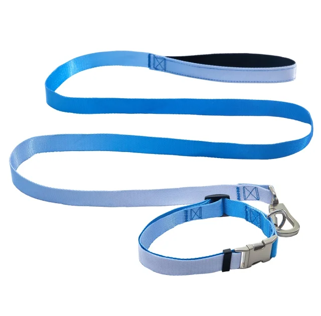 Комплект ошейник с поводком AnimAll для крупных пород собак, пантон 3, 2.5/42-52/180 см