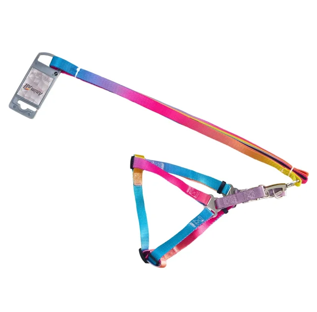 Комплект шлея с поводком AnimAll для маленьких собак и всех пород кошек, пантон 1, 15/30-40/180 см