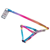 Комплект шлея с поводком AnimAll для средних пород собак, пантон 1, 2/33-50/180 см