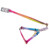 Комплект шлея с поводком AnimAll для крупных пород собак, пантон 1, 2.5/42-52/180 см