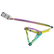 Комплект шлея с поводком AnimAll для собак средних пород, пантон 2, 2/33-50/180 см