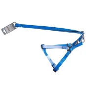 Комплект шлея с поводком AnimAll для собак средних пород, пантон 3,  2/33-50/180 см