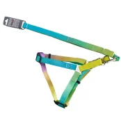 Комплект шлея с поводком AnimAll для крупных пород собак, пантон 2, 2.5/42-52/180 см