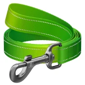 Повідець нейлновий Waudog Nylon Mono для собак, світловідбивний, S, 15 мм/122 см, салатовий
