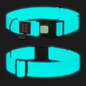 Ошейник WAUDOG Waterproof для собак, водостойкий, с QR адресником, светонакопительный, пластиковый фастекс, XXL, 4 см, 46–70 см