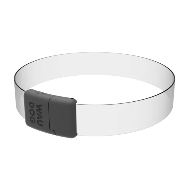 Ошейник WAUDOG LED для собак, с подсветкой, RGB, Type-C, регулируемый, 2.5 см, 60 см